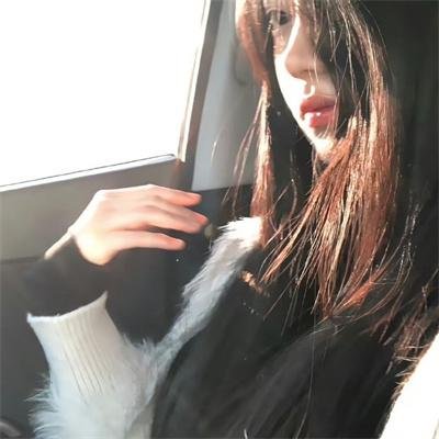 伸冤人第四季 在线播放